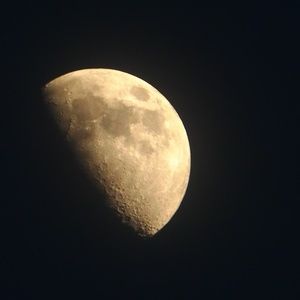 Meet your Posher, dolledup